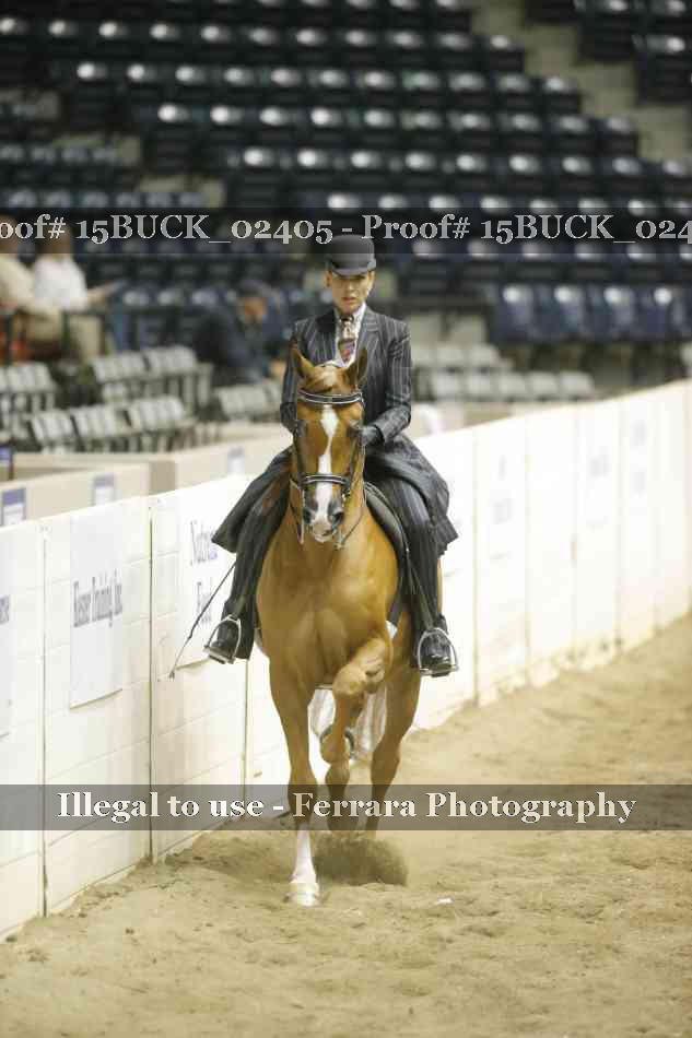 Proof 15BUCK_02405