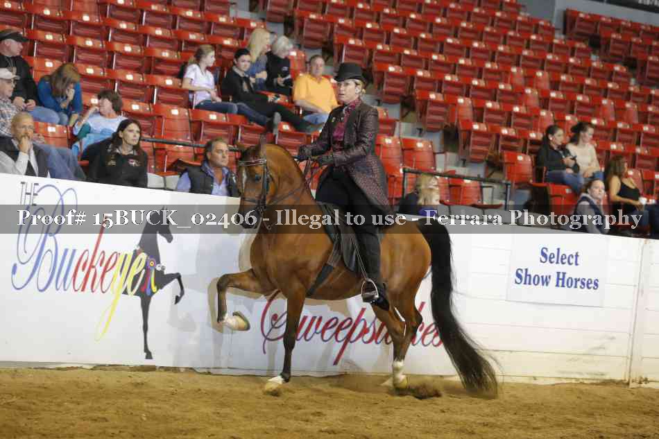 Proof 15BUCK_02406
