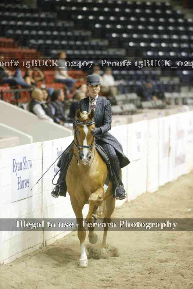 Proof 15BUCK_02407