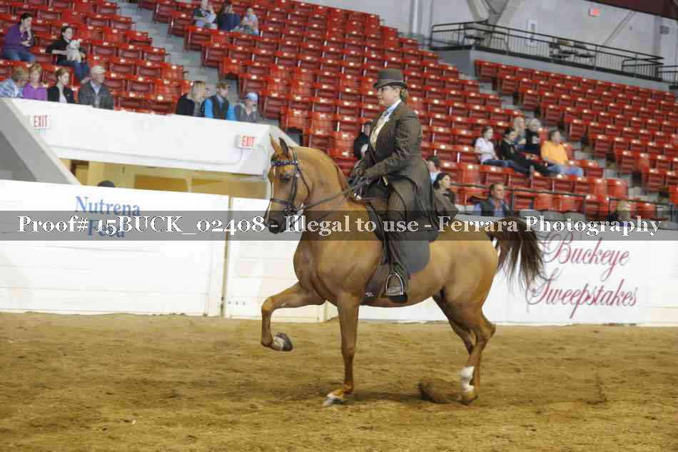 Proof 15BUCK_02408