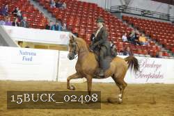 15BUCK_02408 proof