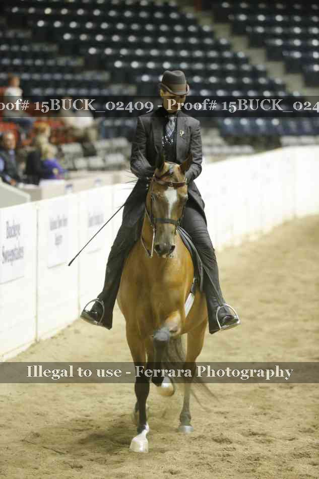Proof 15BUCK_02409