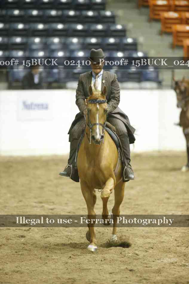 Proof 15BUCK_02410