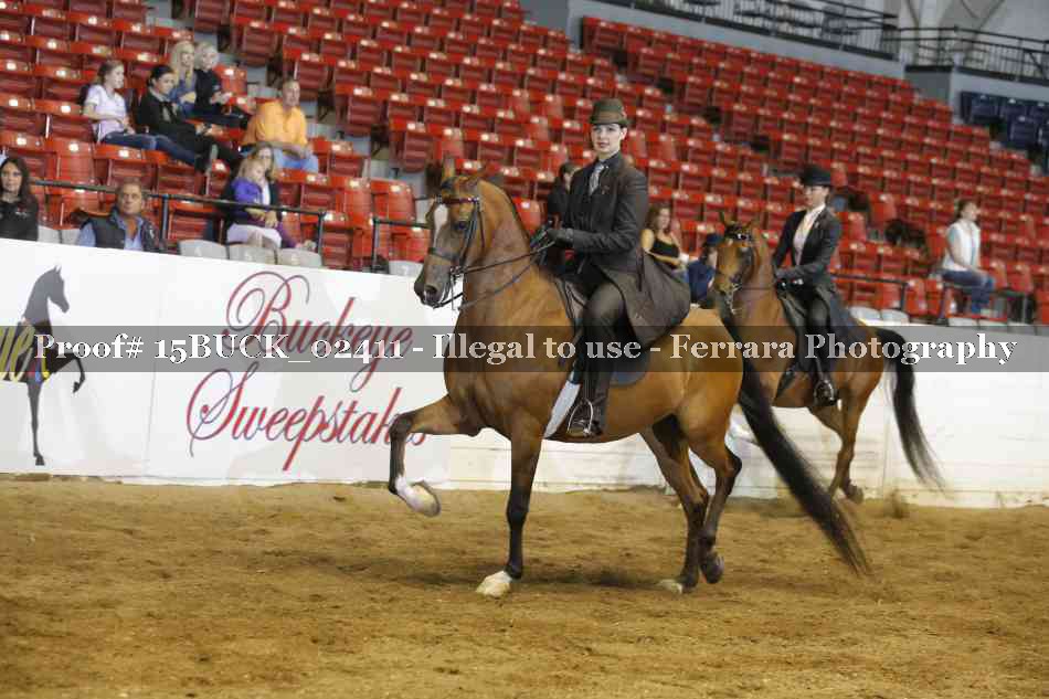 Proof 15BUCK_02411