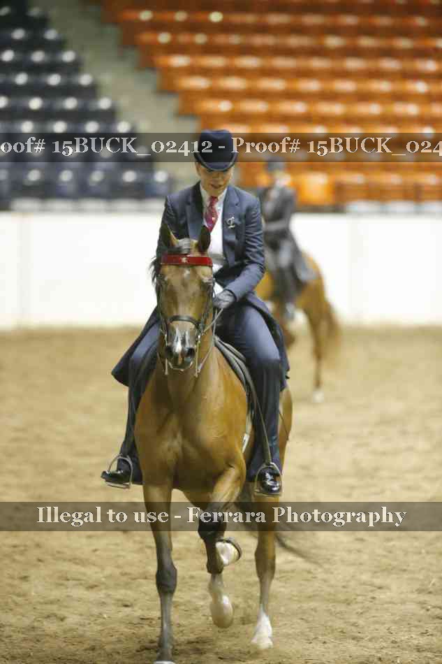 Proof 15BUCK_02412