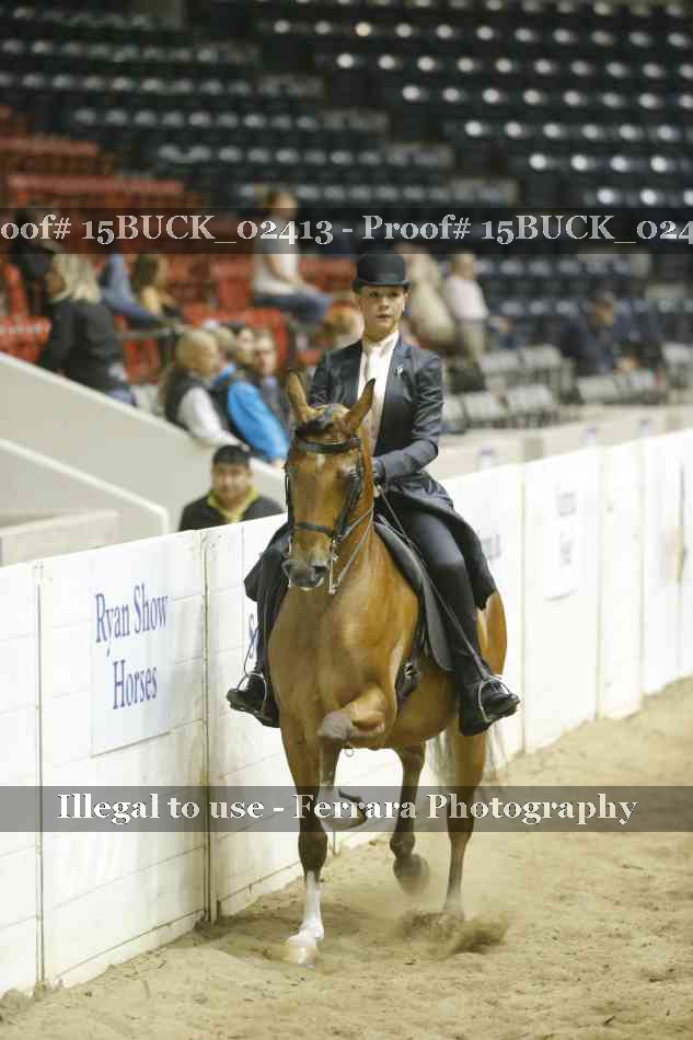 Proof 15BUCK_02413