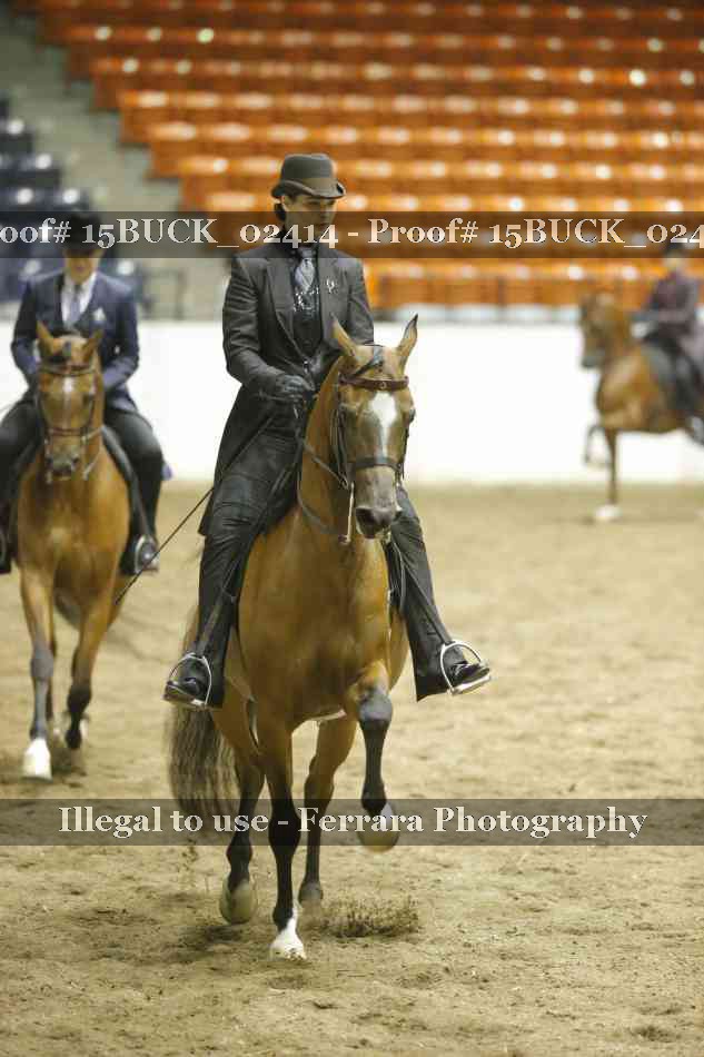 Proof 15BUCK_02414