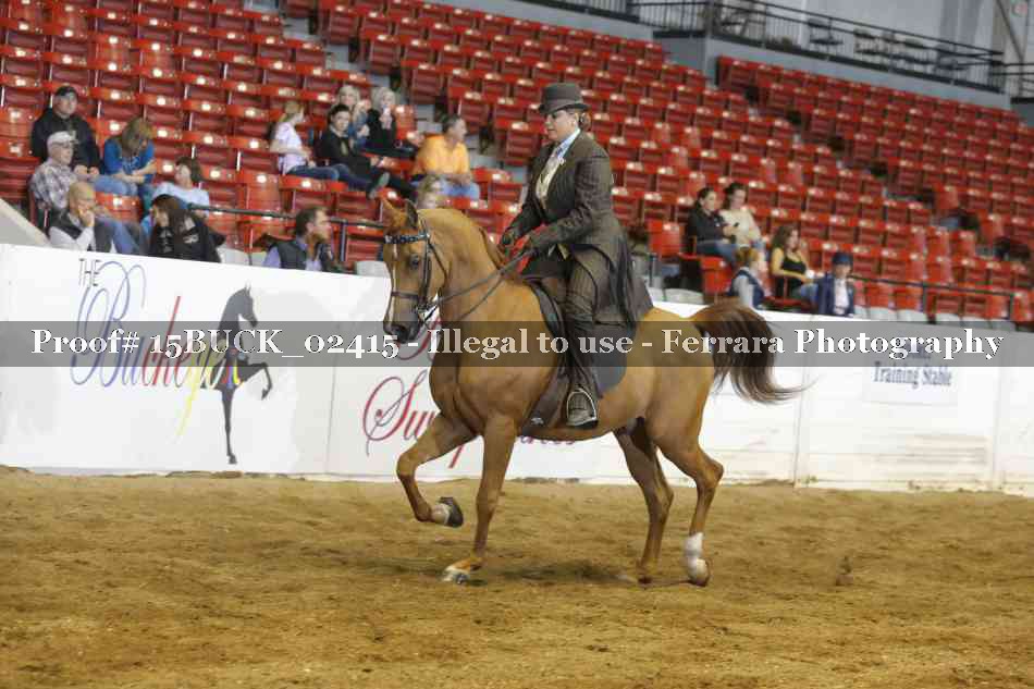 Proof 15BUCK_02415