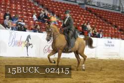 15BUCK_02415 proof
