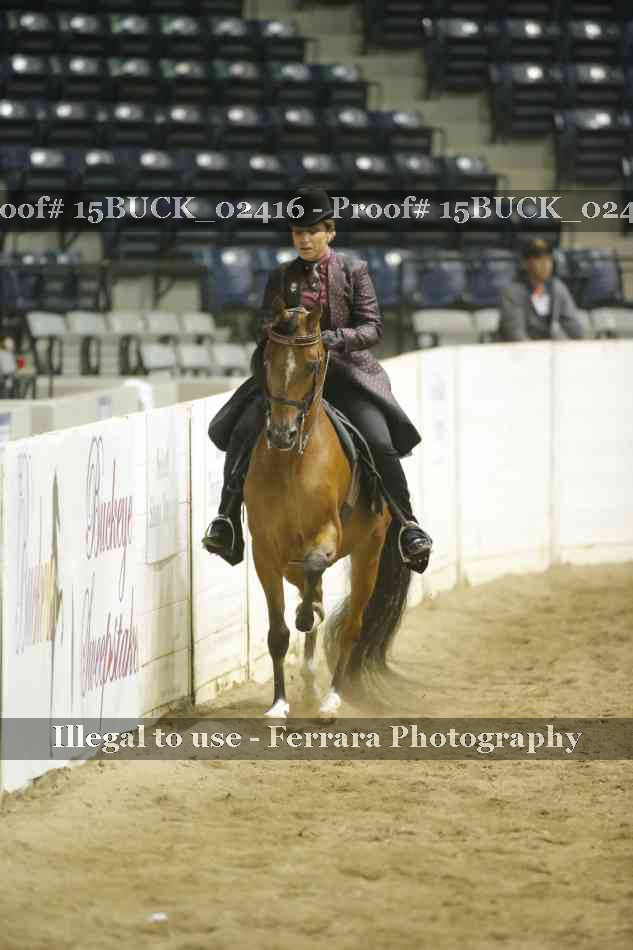 Proof 15BUCK_02416