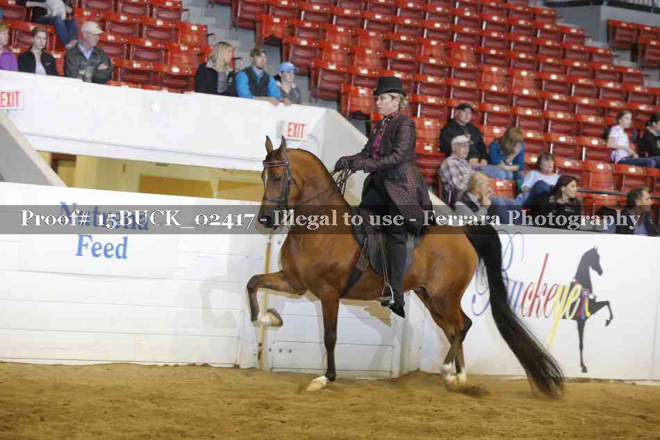 Proof 15BUCK_02417