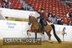15BUCK_02417 proof