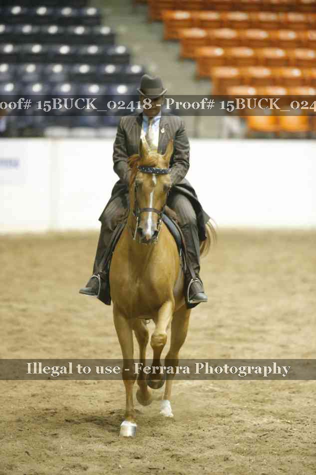 Proof 15BUCK_02418