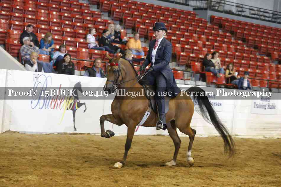 Proof 15BUCK_02419