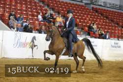 15BUCK_02419 proof