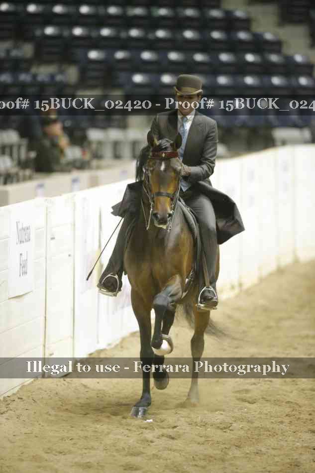 Proof 15BUCK_02420