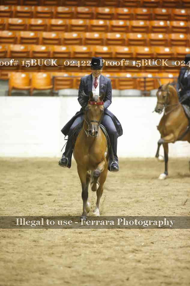 Proof 15BUCK_02422