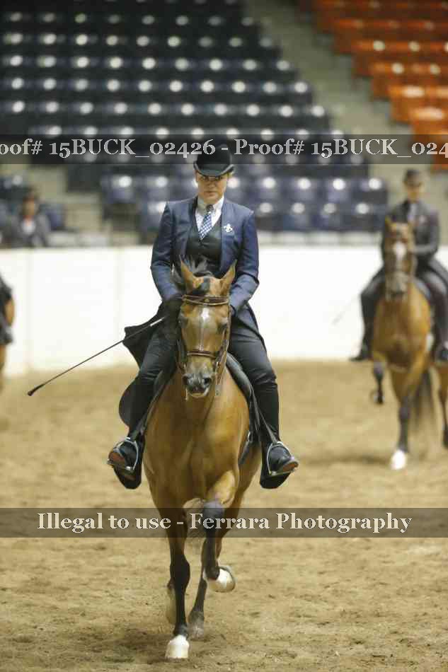 Proof 15BUCK_02426