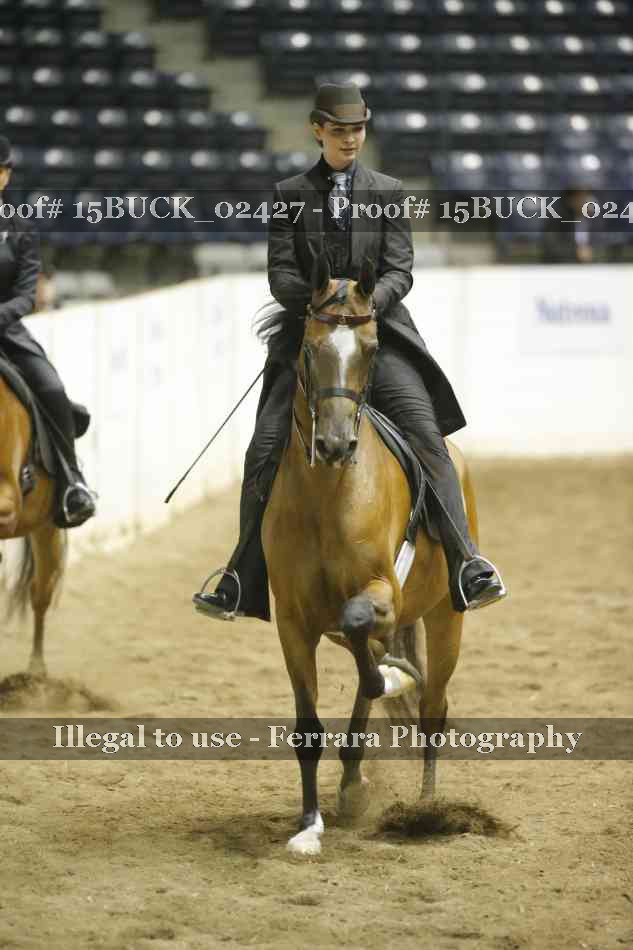 Proof 15BUCK_02427