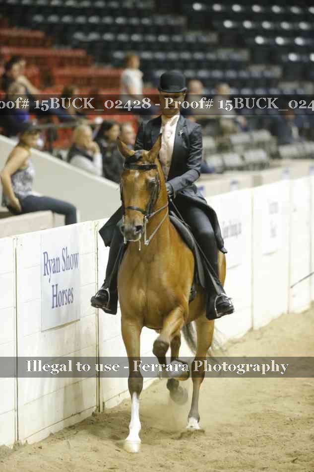 Proof 15BUCK_02428