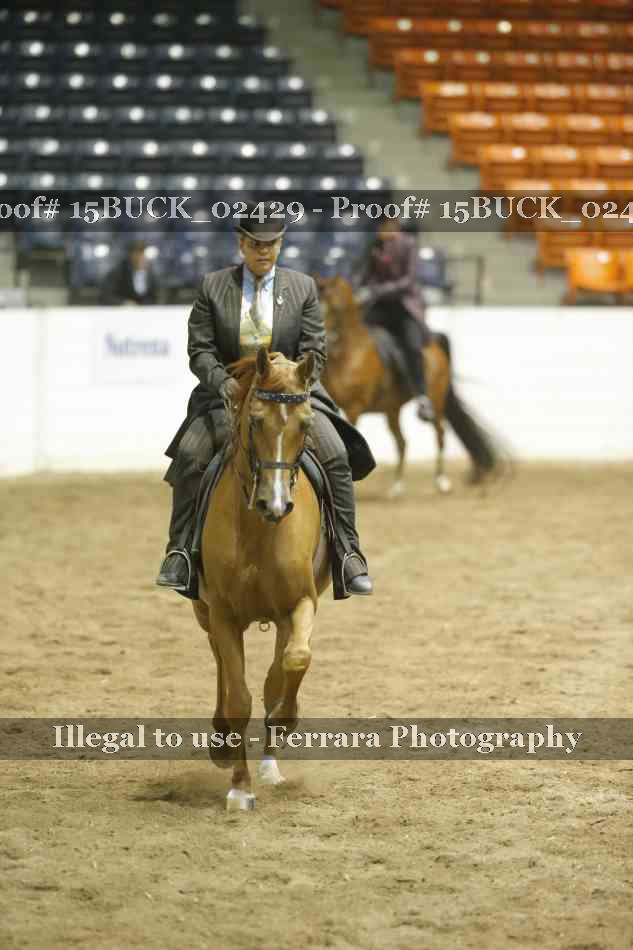 Proof 15BUCK_02429