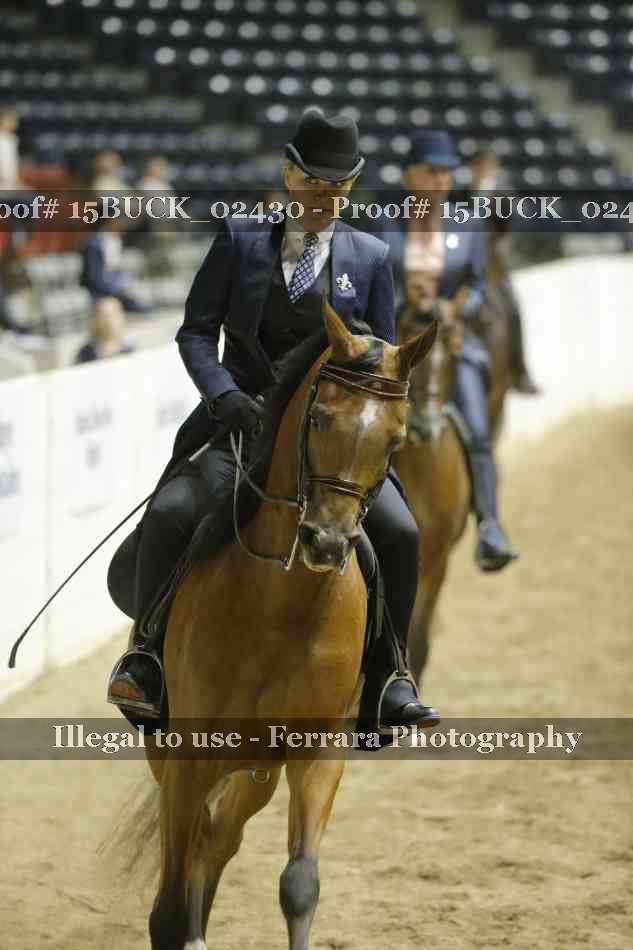 Proof 15BUCK_02430