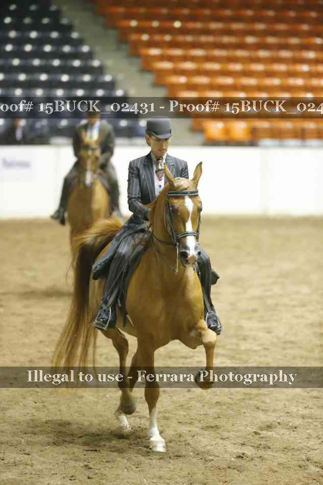 Proof 15BUCK_02431