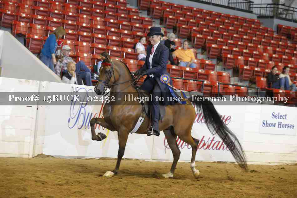 Proof 15BUCK_02432