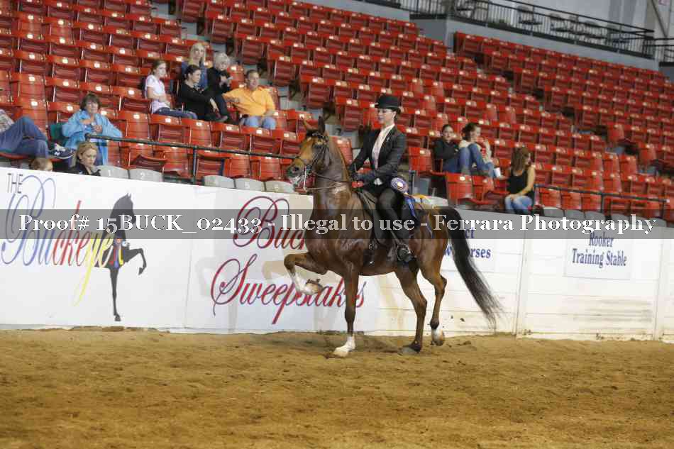 Proof 15BUCK_02433