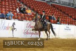 15BUCK_02433 proof
