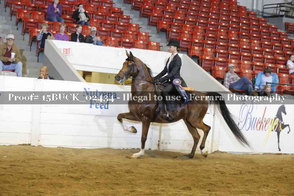 Proof 15BUCK_02434