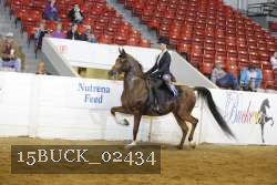 15BUCK_02434 proof