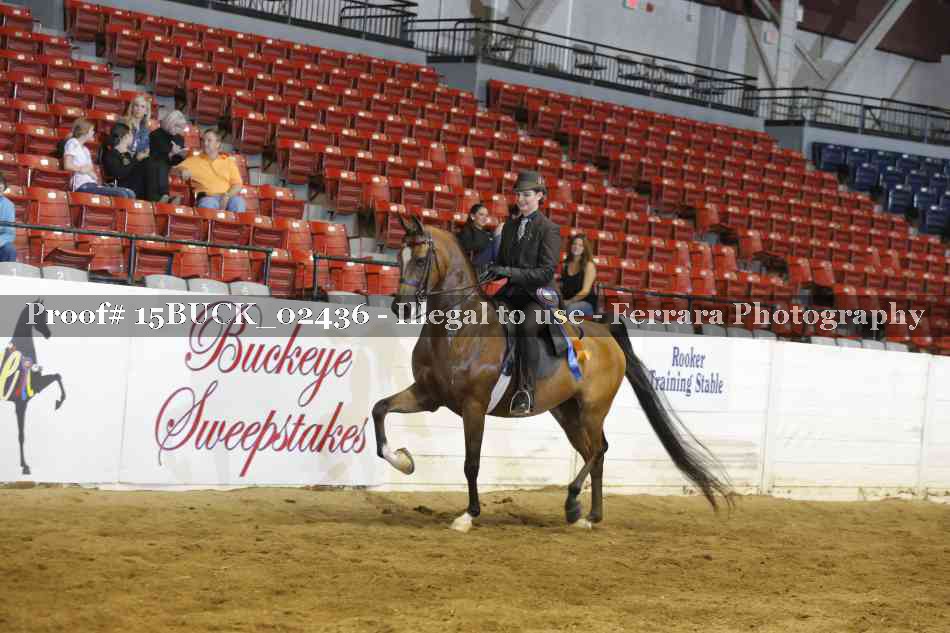 Proof 15BUCK_02436