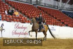 15BUCK_02436 proof