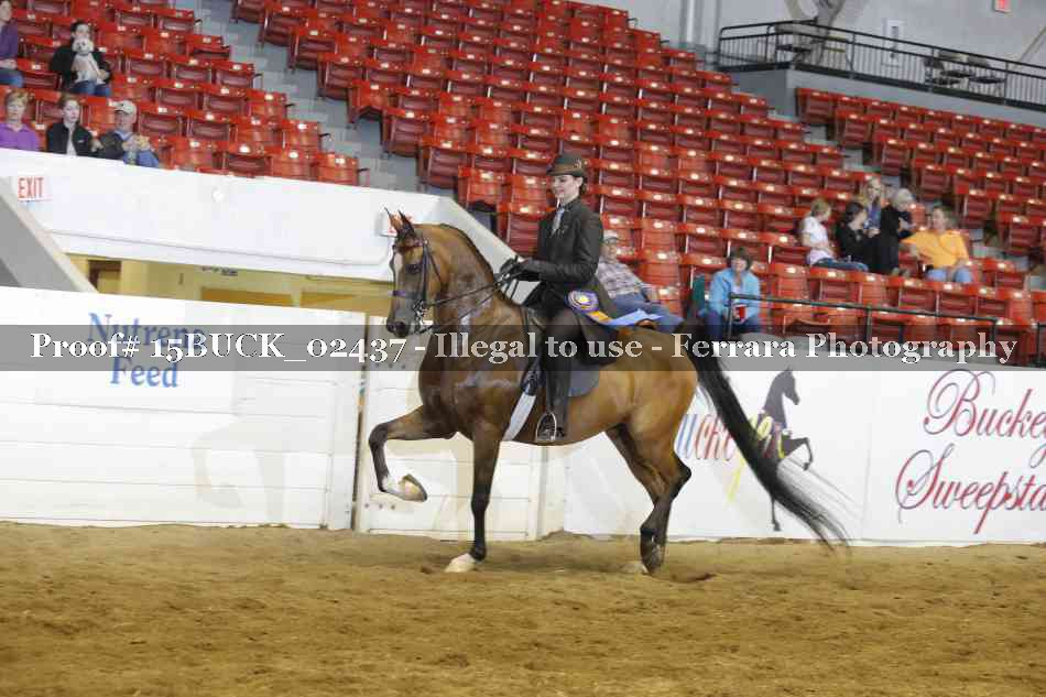 Proof 15BUCK_02437