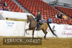 15BUCK_02437 proof