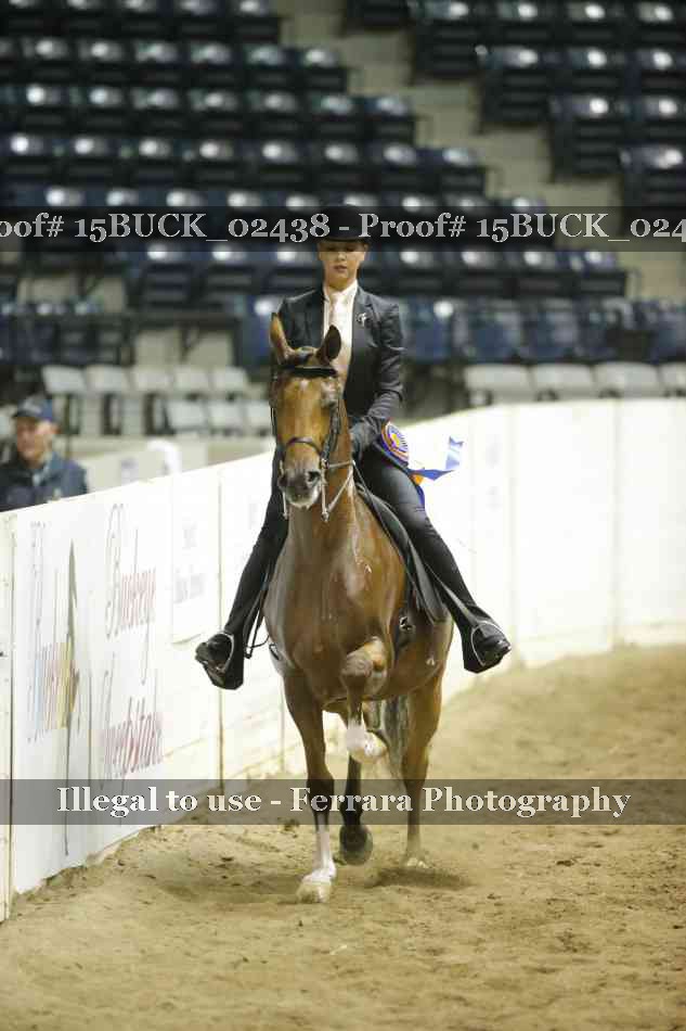Proof 15BUCK_02438