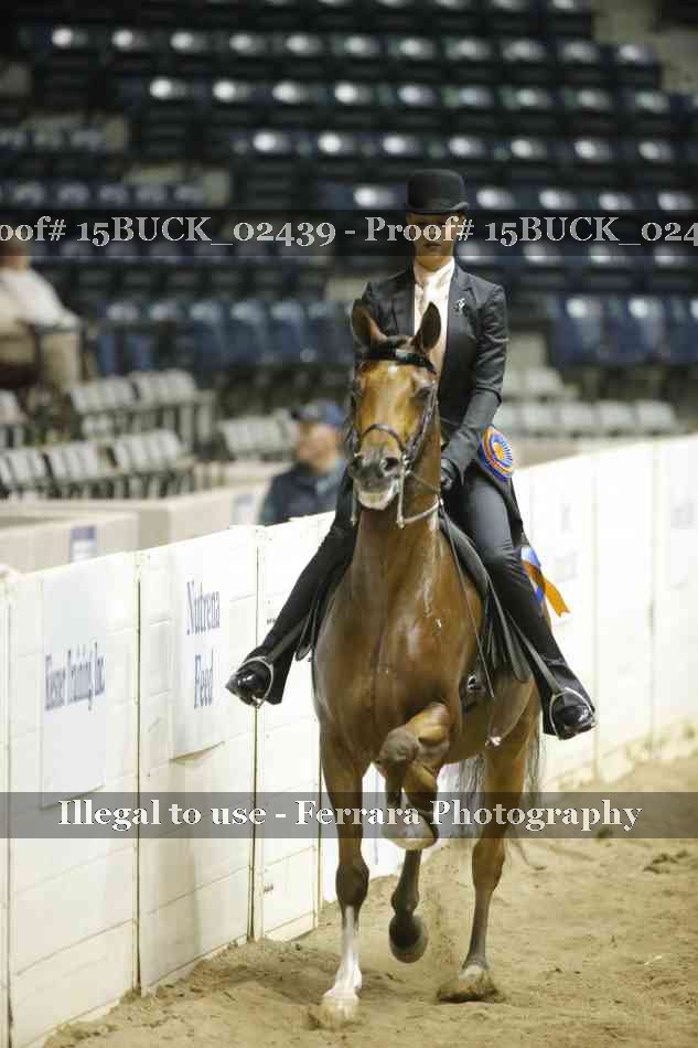 Proof 15BUCK_02439