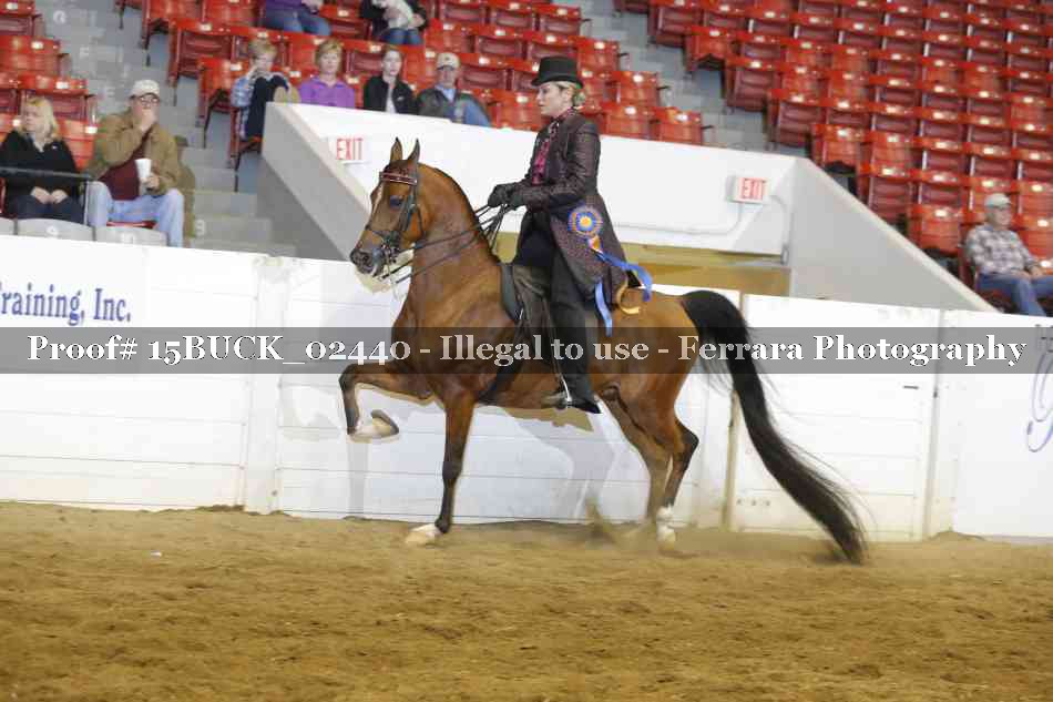 Proof 15BUCK_02440