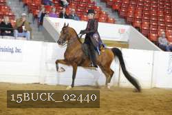 15BUCK_02440 proof