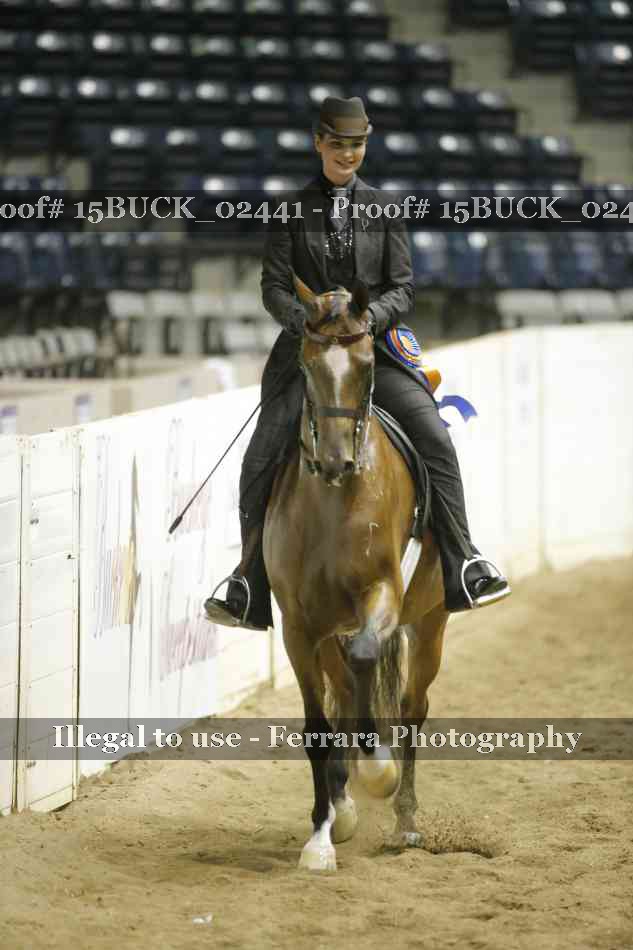 Proof 15BUCK_02441