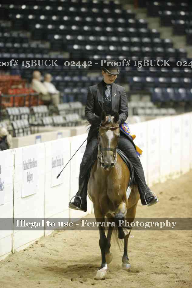 Proof 15BUCK_02442