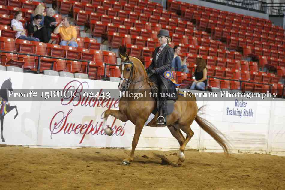 Proof 15BUCK_02443