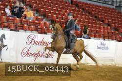 15BUCK_02443 proof