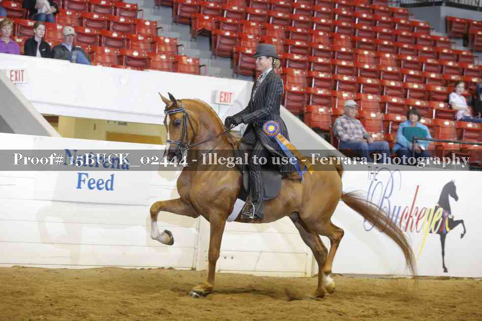 Proof 15BUCK_02444