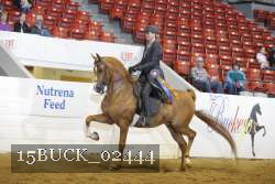 15BUCK_02444 proof