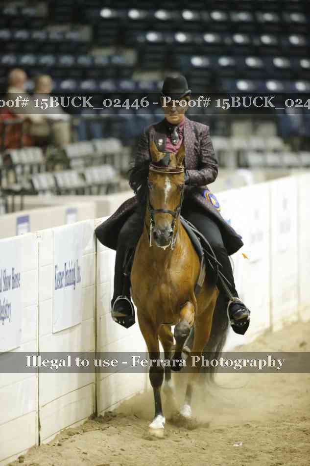 Proof 15BUCK_02446