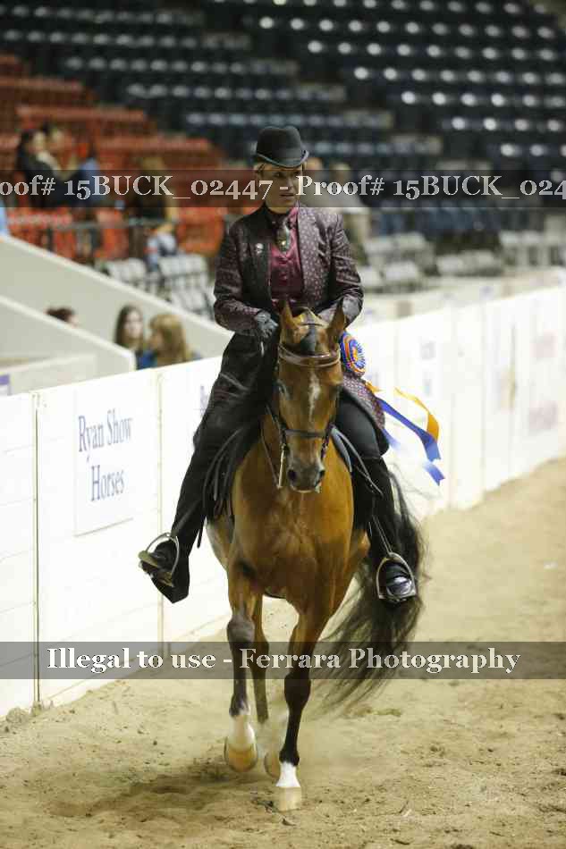 Proof 15BUCK_02447
