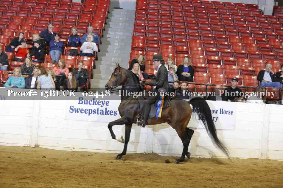 Proof 15BUCK_02448