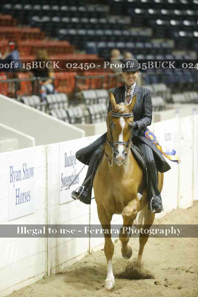 Proof 15BUCK_02450